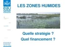 Stratégie et financement pour les zones humides