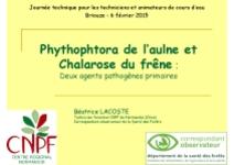 Phythophtora de l‘aulne et Chalarose du frêne : Deux agents pathogènes primaires