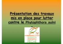 Travaux mis en place pour lutter contre le Phytophthora aulni : retour d'expérience de la fédération de pêche du Calvados sur l'Orne aval