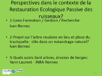 Projet sur l'arbre rivulaire en lieu et place du tractopelle