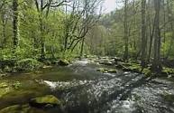 Rivières vivantes de Normandie 