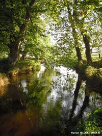 La Seulles à Amblie