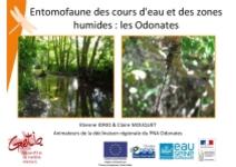 Entomofaune des cours d'eau et des zones humides : les Odonates