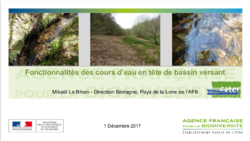 Fonctionnalités des cours d’eau en tête de bassin versant